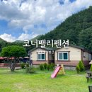 성주 무흘계곡 코너밸리 펜션 내돈내산 최고