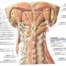염기룡한의원 이미지