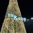 오동동177 이미지