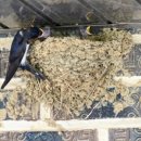 홍성군새마을회관 이미지