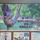 실사고을