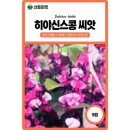 콩꽃씨 쇼핑하우