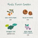 포레스트스파 이미지