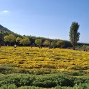 솔마루길 신선산 이미지