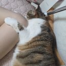 5월1상 조금 늦었어