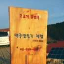 모르겐슈테른