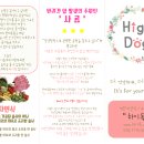 하이독 이미지