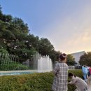 남정호무용단 | [공연후기] 이것은 유희가 아니다