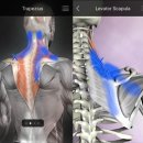 태현한의원 이미지