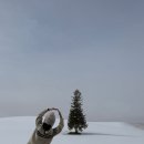 수현카 | [삿포로 여행] 3월 비에이 렌터카 여행 | 크리스마스 트리, 탁신관, 흰수염폭포, 백은장온천, 차이...