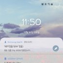 돼지스토어
