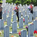 동해시-61 이미지