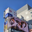 스카이서적;문구 | 도쿄 시부야 첫날 코스 8곳 | 시부야스카이부터 로프트까지 반나절 동선 정리