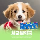 세교엘약국 이미지