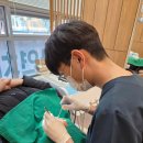김봉환치과 네이버블로그