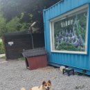 오대산 계곡을 즐길 수 있는 힐스파이브 리조트앤펜션