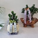 행정사사무소 정평 이미지