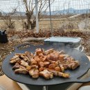 피플앤독느티캠핑장 이미지