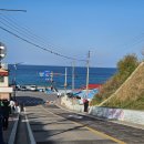 묵호주공~어달간 | 묵호 맛집 찾으면 여기 무조건 가세요… 현지인 추천 [어달 활어공장]내돈내산후기