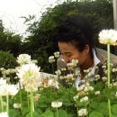 구지중학교 이미지