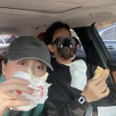 준원주유소 | 11월의 에버랜드🎡 (ft.T-익스프레스, 할로할로윈🎃)