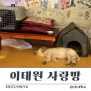 사랑채 실내포차 | 이태원 사랑방 | 레트로 감성 한식 주점 솔직 방문 후기 | 인기 메뉴·가격·분위기·주차·예약 꿀팁...