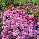 원무술한우촌 이미지