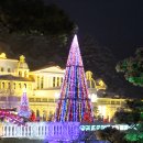 애견동화 이미지