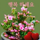 데이지수