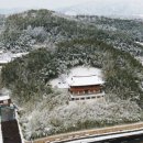 죽녹원