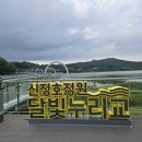 온양인력 | 충남 아산 1박2일 연꽃 신정호수공원 다녀온 후기