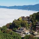 대원관광㈜ 이미지