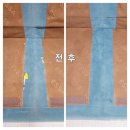 부산 양산 쇼파청소 사송 신도시 매트리스 클리닝 후기