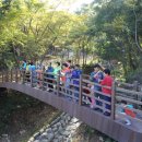 미숭산자연휴양림 이미지