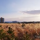 서호동-12 이미지