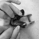 로고스 동물병원 이미지