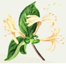 이로운온누리약국 이미지