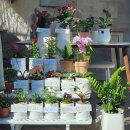 봉곡동369 이미지