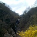 송광사&벚꽃길 이미지