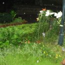 금호동 백합아파트 이미지