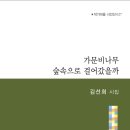 김선희 운영위원, 시집 ＜가문비나무 숲속으로 걸어 갔을까＞ 발간 이미지