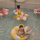흥덕어린이집 네이버블로그