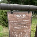 가꿀목장 이미지