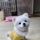 태영민박 이미지