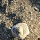 대한철강 이미지