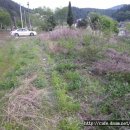 개울가펜션 이미지