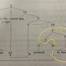 NP movement: Passive, 81페이지 질문입니다. 이미지