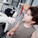 소다미술관 이미지