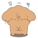 해피애견타운 강아지고양이 포항점&현살롱드펫(남구) 이미지