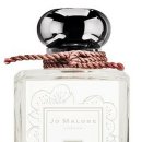 플럼블라썸(Plum Blossom) 이미지